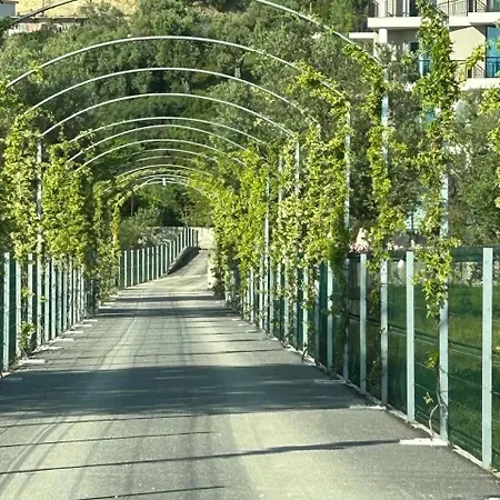 Borshi Отель Борш